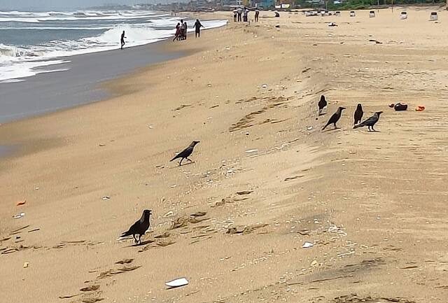 Thiruvalluvar Nagar Beach Chennai