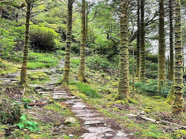 Torc Mount in Killarney