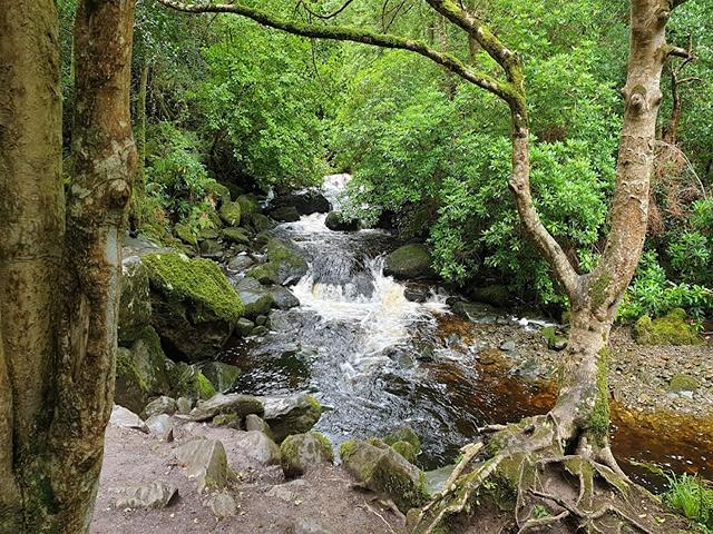 best attractions in Killarney