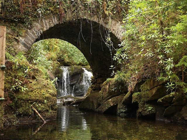 best things to do in Killarney Ireland