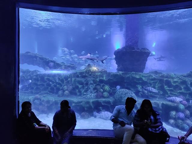 VGP Marine Kingdom Aquarium Chennai
