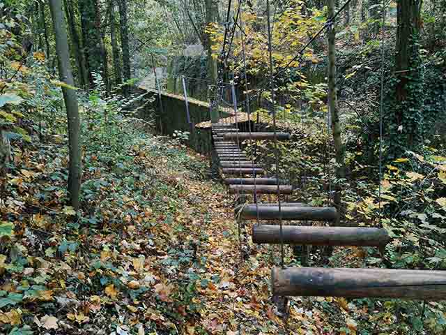 Vanciaventure Forest Lyon