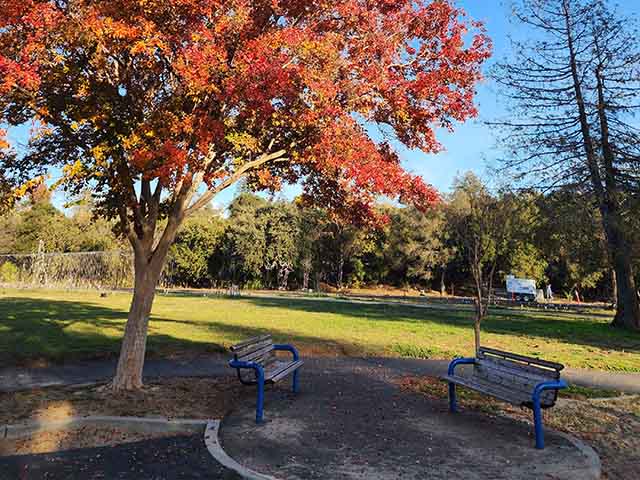 Vasona Lake Park San Jose