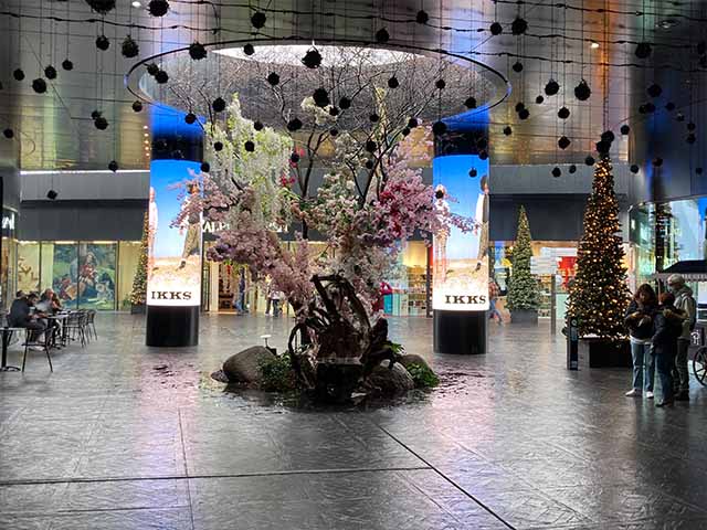 Lyon malls