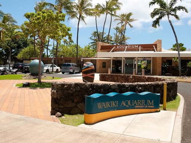 Waikiki Aquarium Honolulu