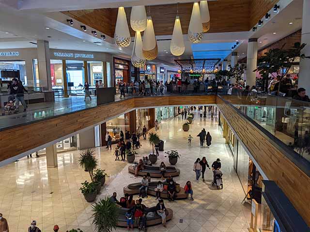 best things to do in San Jose California