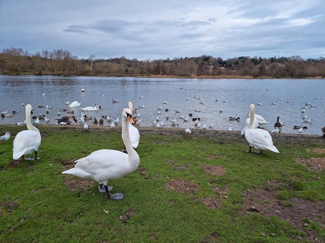 things to do in Norwich England