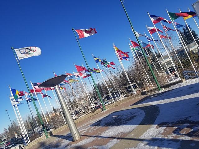 fun activities in Calgary