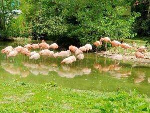 parks in Linz - attractions in Linz for families