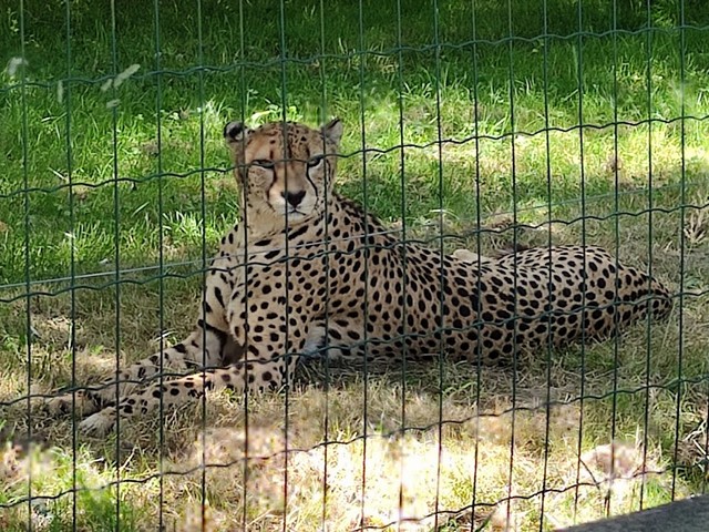 Zoo de La Boissiere du Dore Nantes