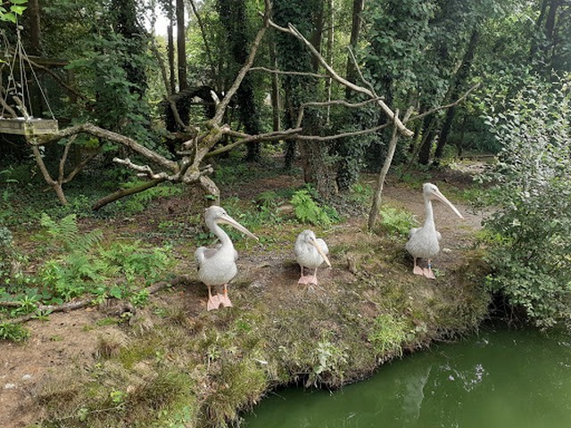 Zoo de La Boissiere du Dore in Nantes