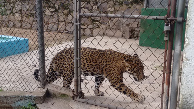 Zoologico Villa Fantasia Guadalajara