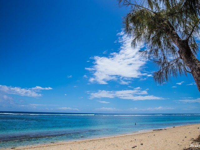 best attractions in Reunion