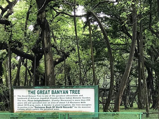 parks in Kolkata