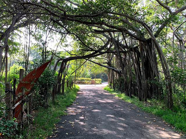 top sights in Chennai