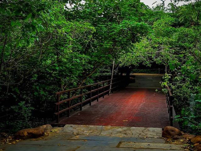 best parks in Chennai