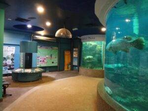Aquarium & Marine Museum Kota Kinabalu