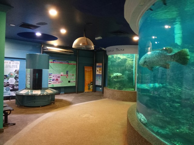 things to see and do in Kota Kinabalu
