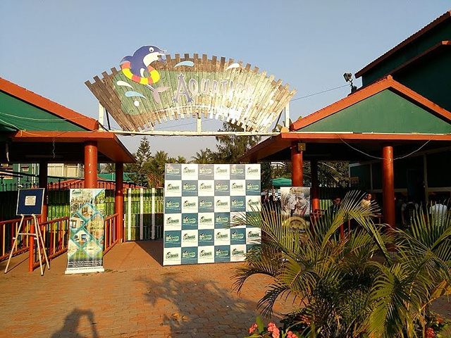cool things to do in Kolkata