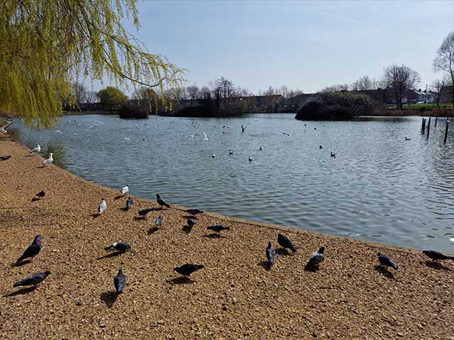 Portsmouth attractions