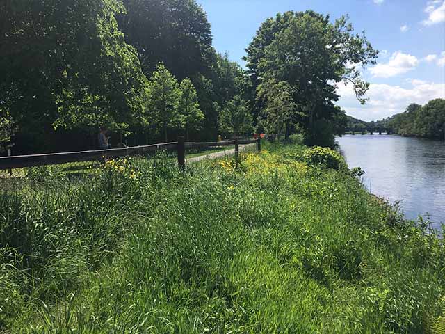 parks in Cork city