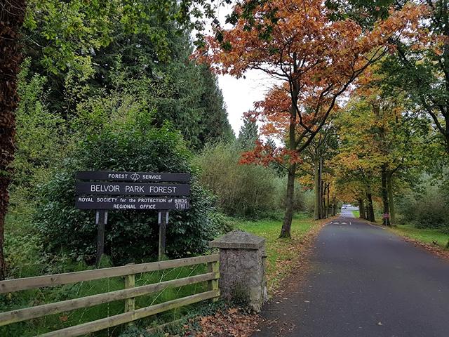 top things to do in Belfast Ireland