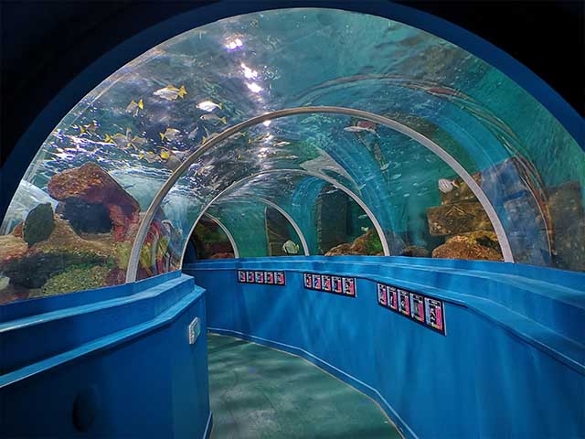 cool things to do in Portsmouth