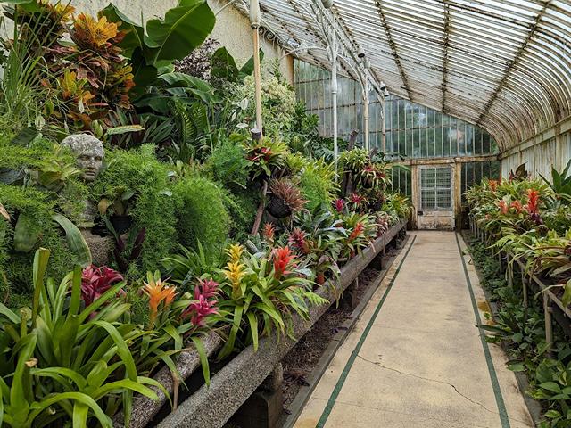 Botanic Gardens Belfast