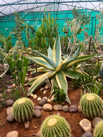 Botanical Garden Hyderabad