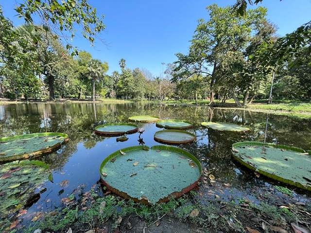 best parks in Kolkata
