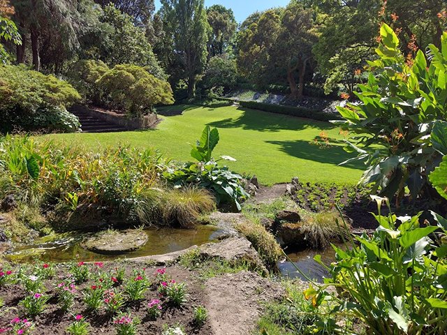Napier parks
