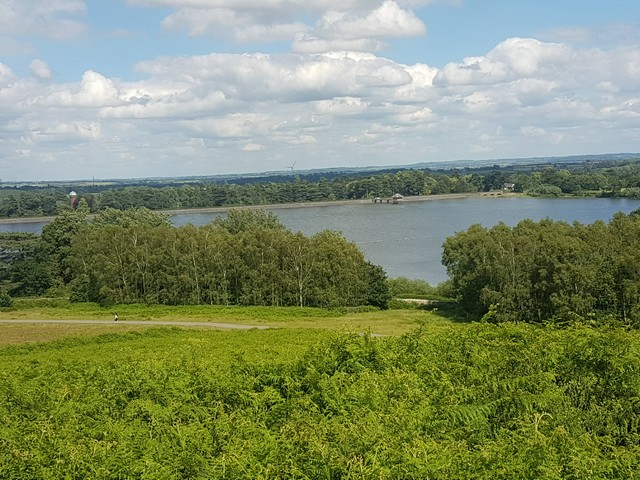 Bradgate Park Leicester