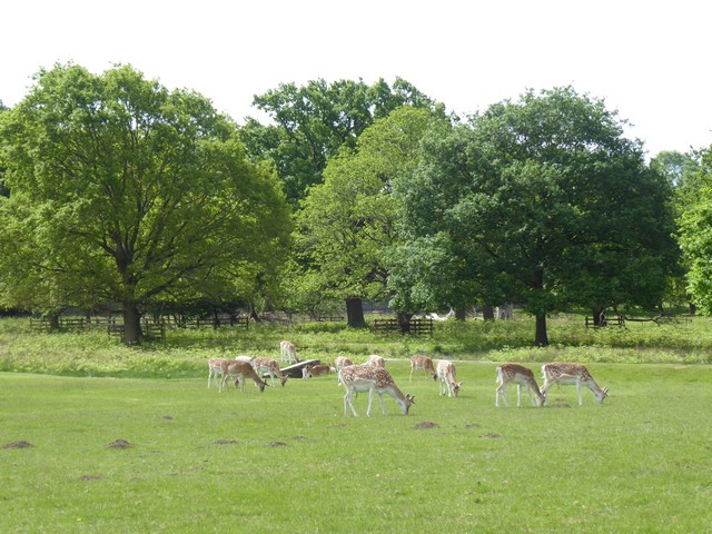 top things to do in Leicester UK