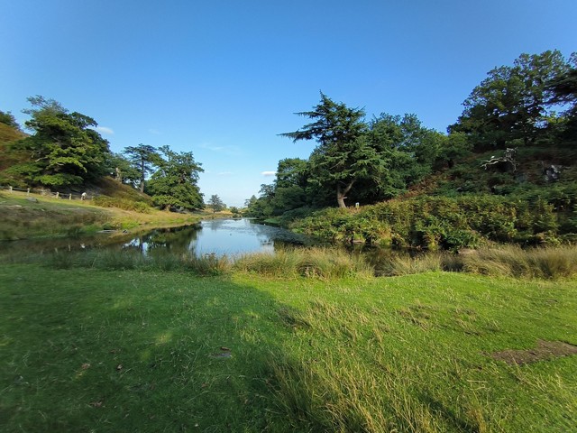 Bradgate Park Leicester