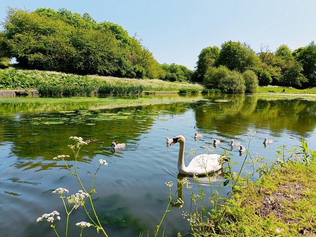things to do in Leicester UK