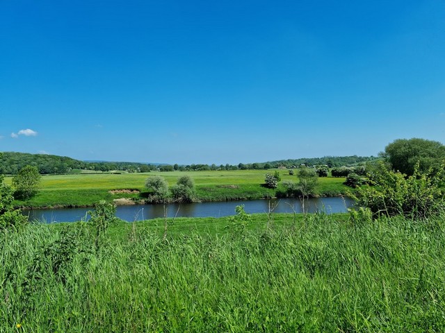 Brockholes Forest Preston