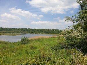Brockholes Forest Preston