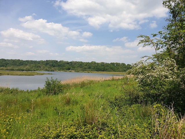 best parks in Preston