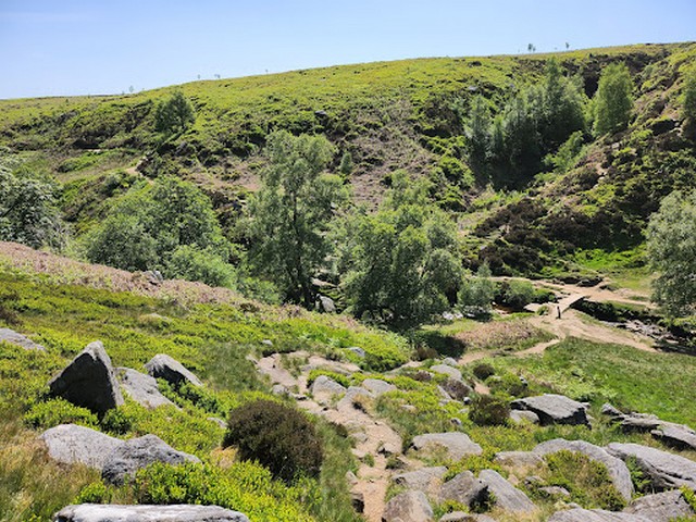 Bronte Waterfall in Halifax