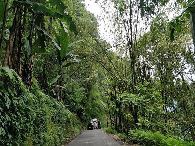Butterfly Waterfalls in Gangtok