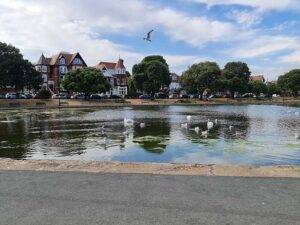 Canoe Lake Park Portsmouth - best parks in Portsmouth - free things to do in Portsmouth