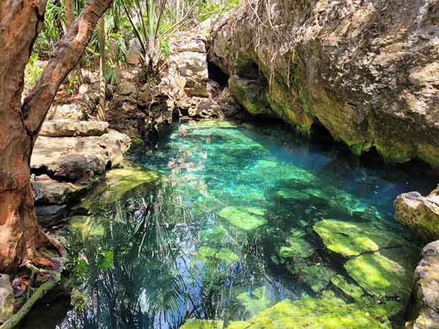 lakes in Playa del Carmen