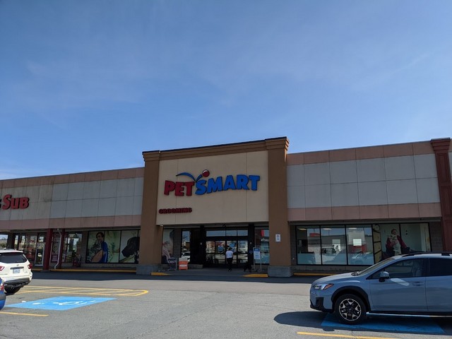 markets in Halifax