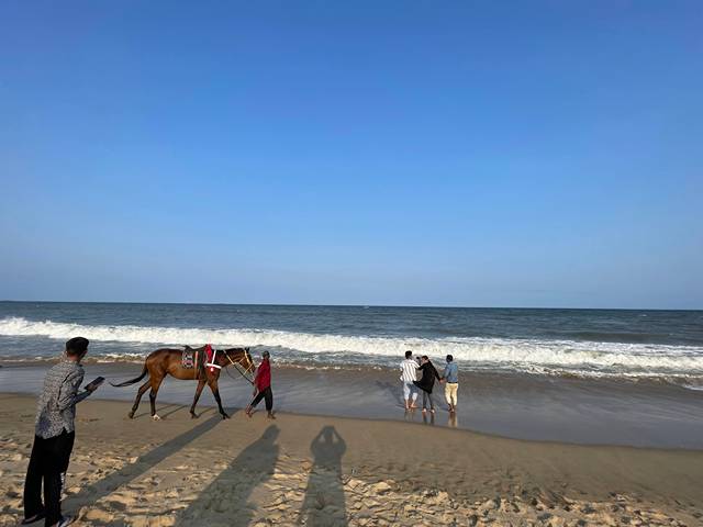 major attractions in Chennai - attractions in Chennai city