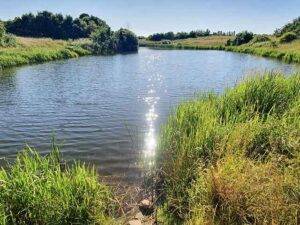 Countess of Chester Country Park