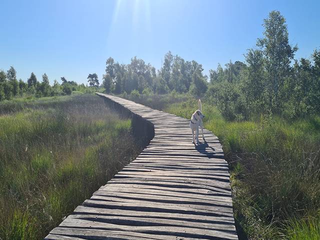 parks in Eindhoven Netherlands