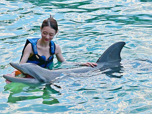 Delphinus Xcaret Playa del Carmen