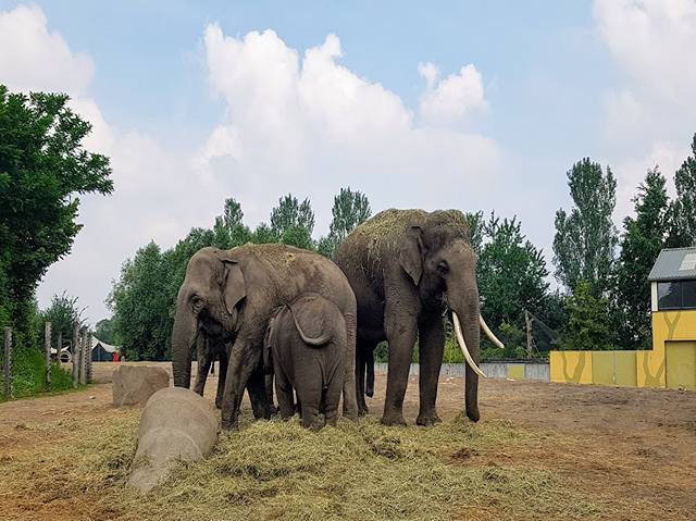 best things to do in Eindhoven