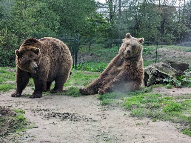Dierenrijk Zoo in Eindhoven
