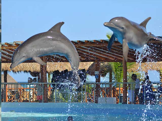 top things to do in Playa del Carmen Mexico